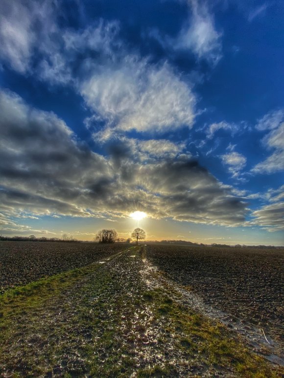 Picture of muddy fields around Redbourn