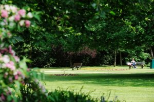 Layston Court Gardens